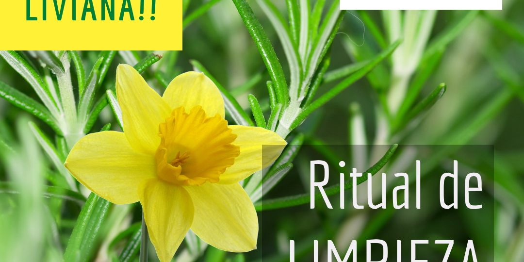 Ritual de LIMPIEZA portada